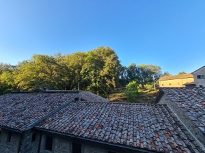 Dächer des Klosters, im Hintergrund Bäume